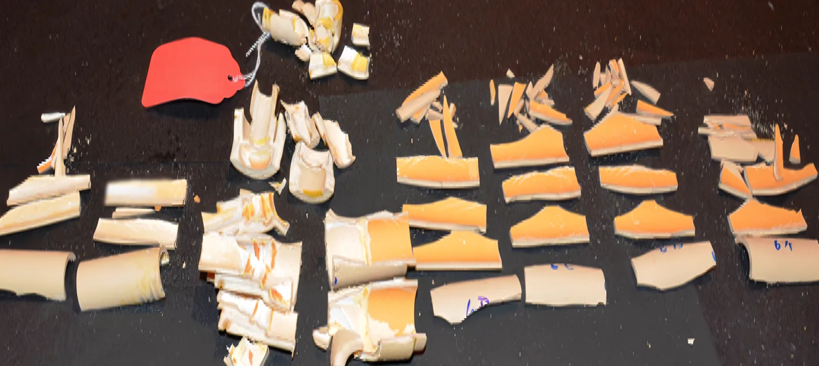CPVC potable water pipe fragments removed from a hotel, laid out and labeled for forensic examination