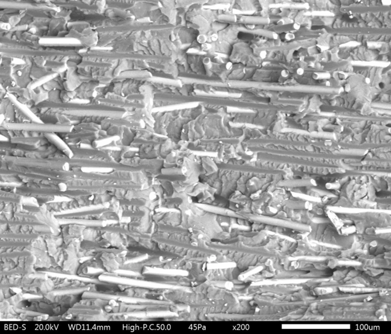 Scanning electron micrograph at 200x magnification of the fracture surface of a glass fiber reinforced PPSU injection molded part from an inline hot water heater, showing exposed glass fibers in the polymer matrix.