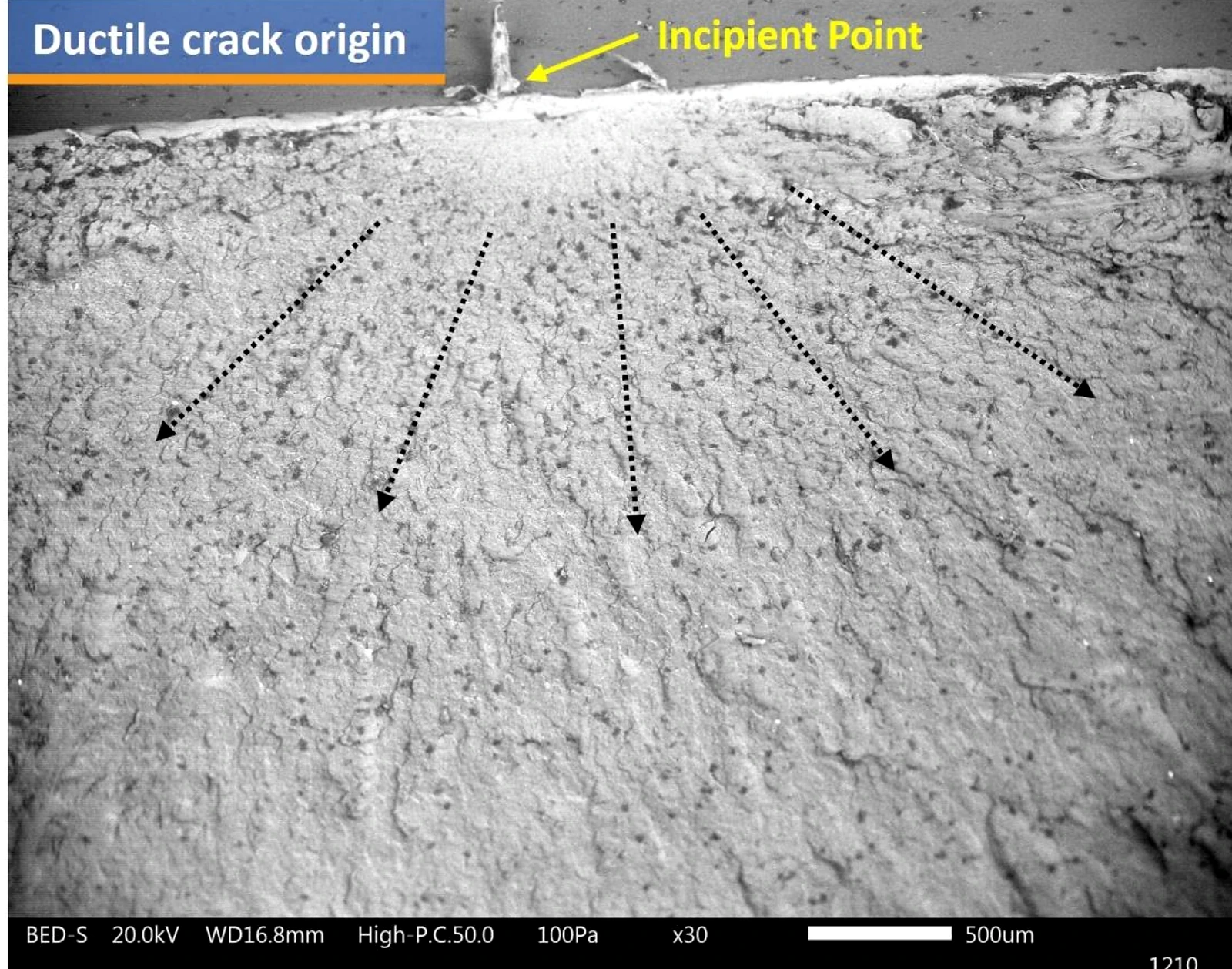 SEM fractography of a plastic pipe showing a ductile crack origin at the incipient point