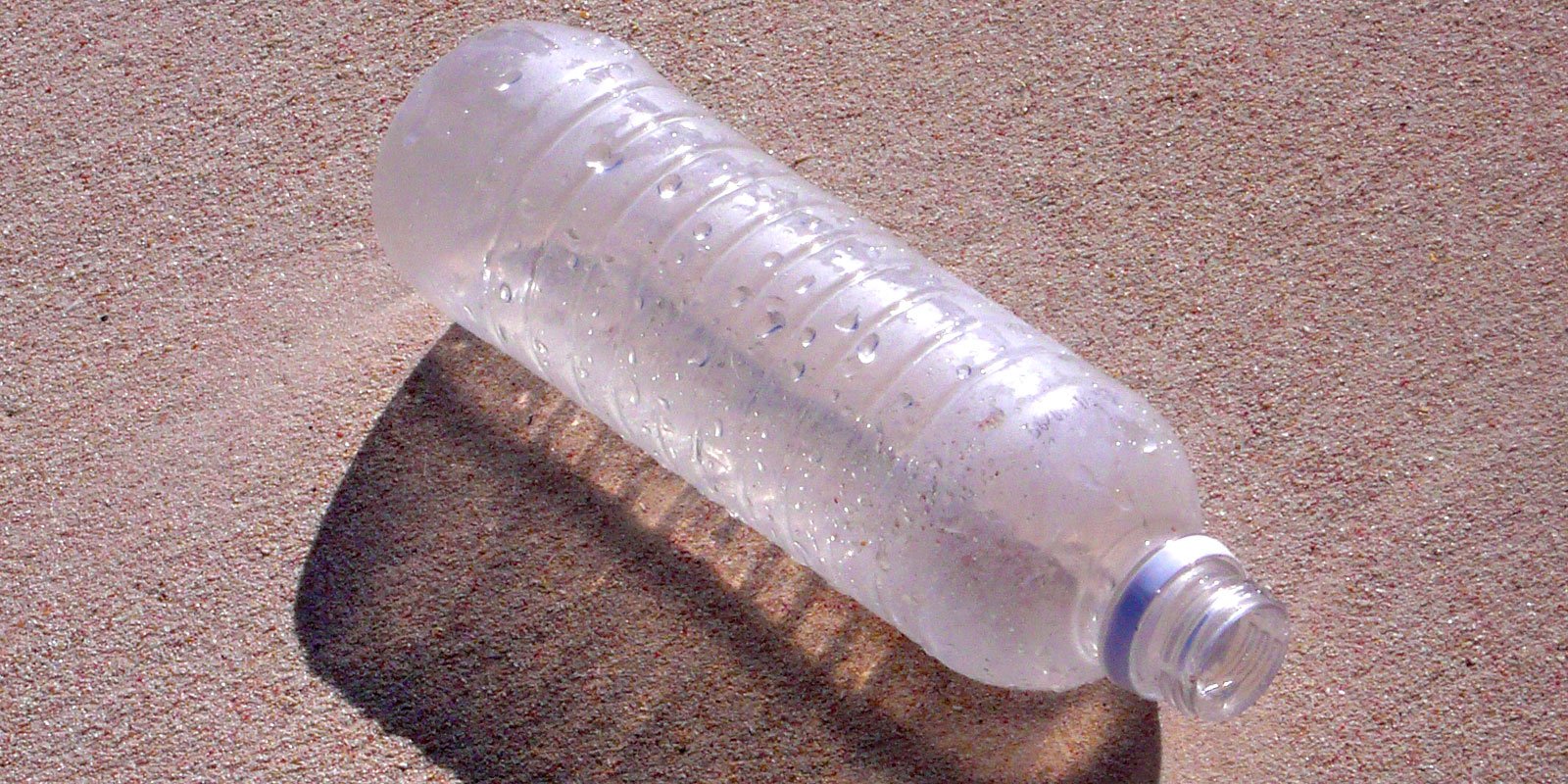 The Impact of Plastics on the Environment