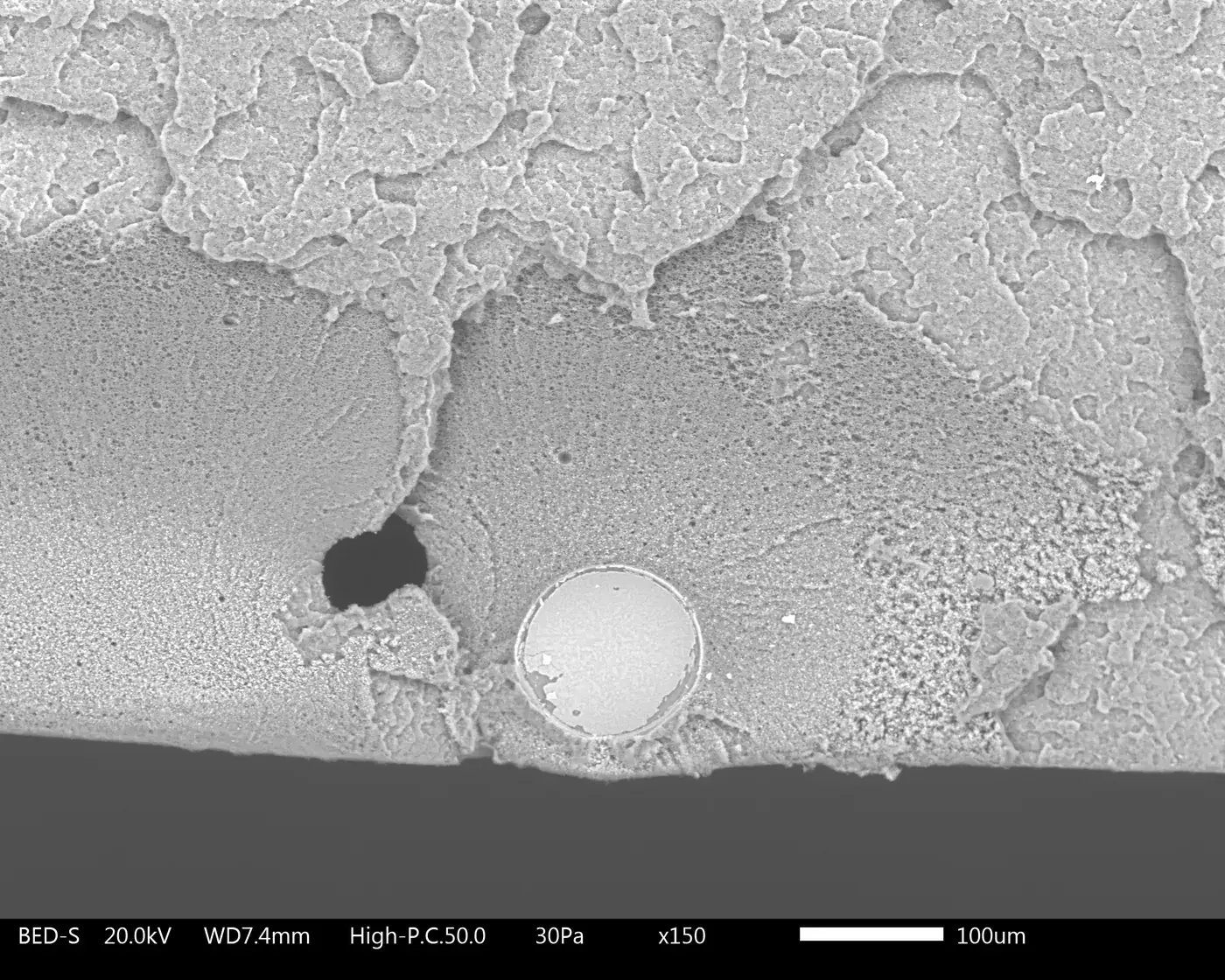 SEM micrograph revealing subsurface void near inner diameter of failed CPVC pipe specimen