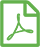 PDF Icon