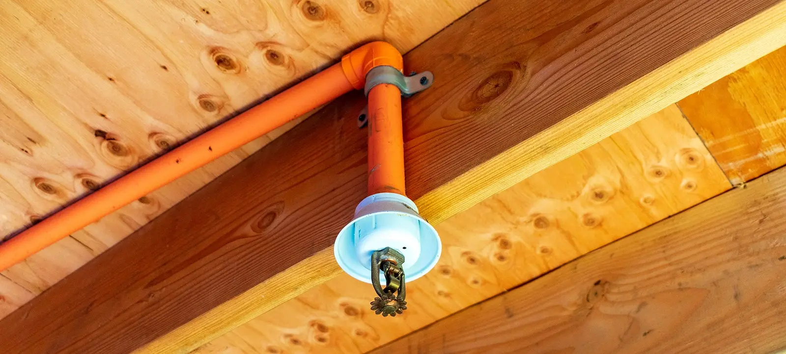 Orange CPVC fire sprinkler piping and a pendant sprinkler head mounted against a wooden ceiling