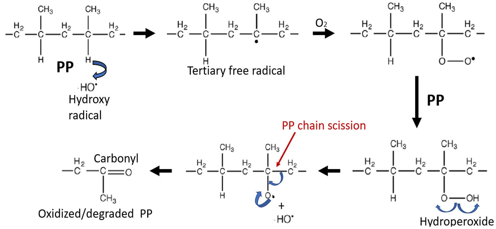 Reaction scheme for the oxidative degradation of polypropylene, running from hydroxy radical attack through a tertiary free radical and a hydroperoxide to PP chain scission and an oxidized carbonyl product