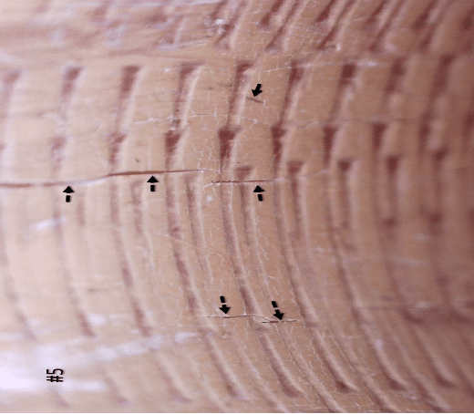 Microscope view of the inside surface of a PEX pipe showing circumferential indentations left by the expansion tool teeth, with arrows marking cracks