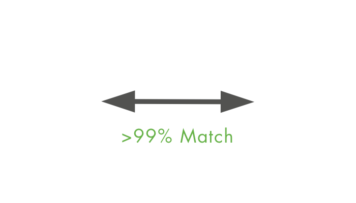 99% Match